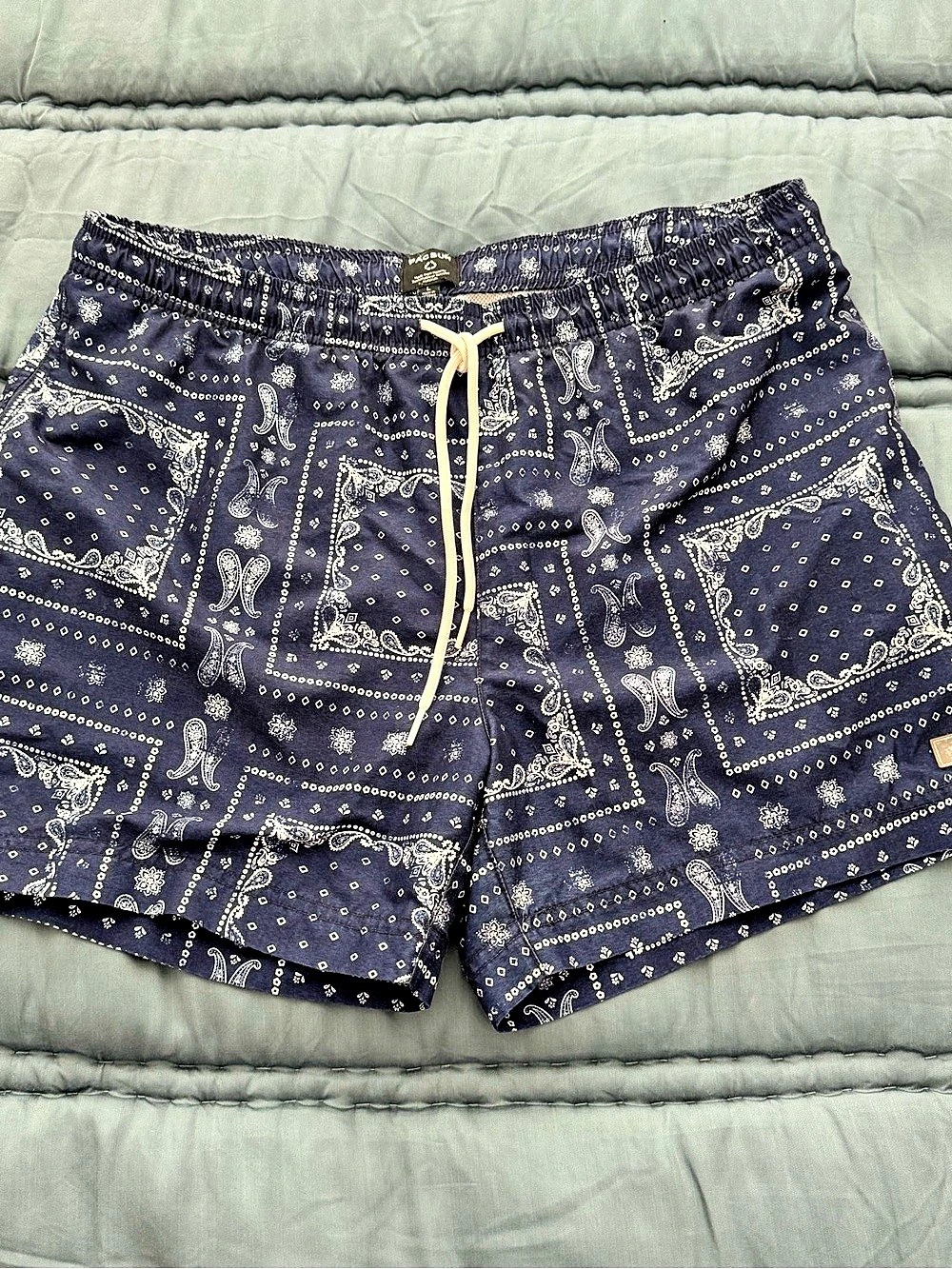 PacSun Recycled Bandana Block Swim Trunks Blue & White Large